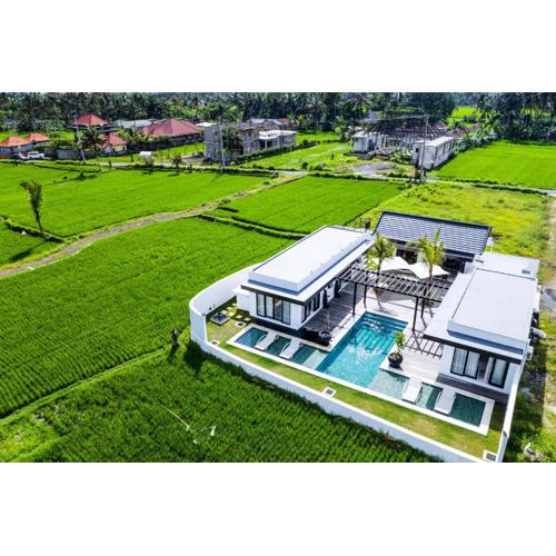 AMAZING 3Br Villa in the middle of Ricefields