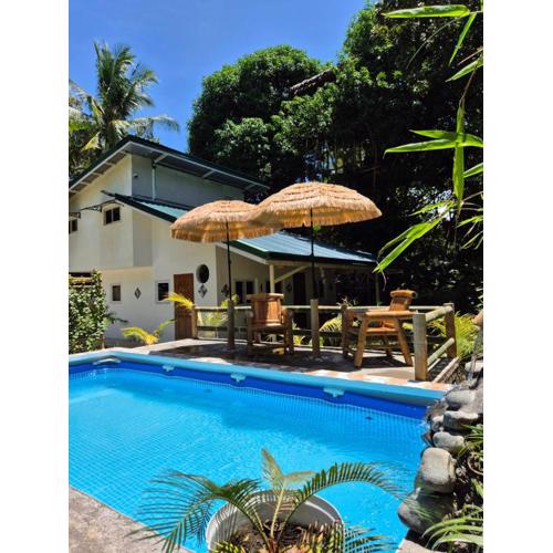 Amazing Ocean View Treehouse & Pool