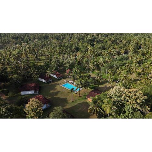 Ambarella Lodge - Katunayake