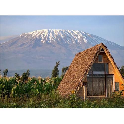 Amboseli Trails Cabin