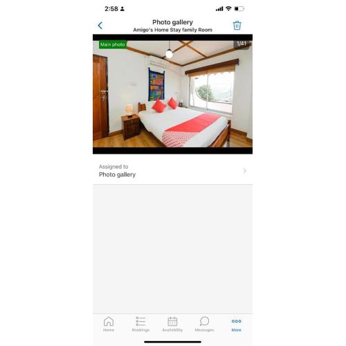 Amigos one bed room jungle view apartment