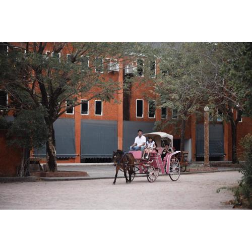 Amphawa Horse Farm Resort