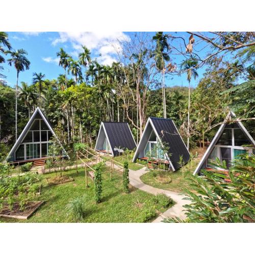 Ample Forest Khao Sok Farmstay