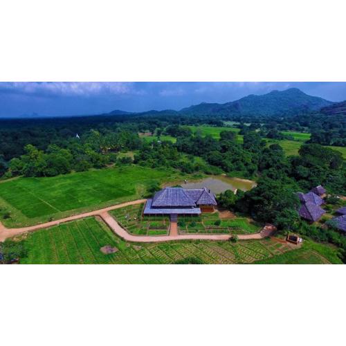 Amuna Ayurveda and Wellness Retreat