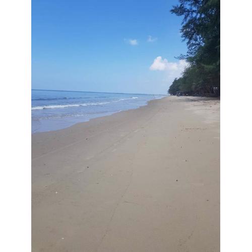 Amy's beach apartments