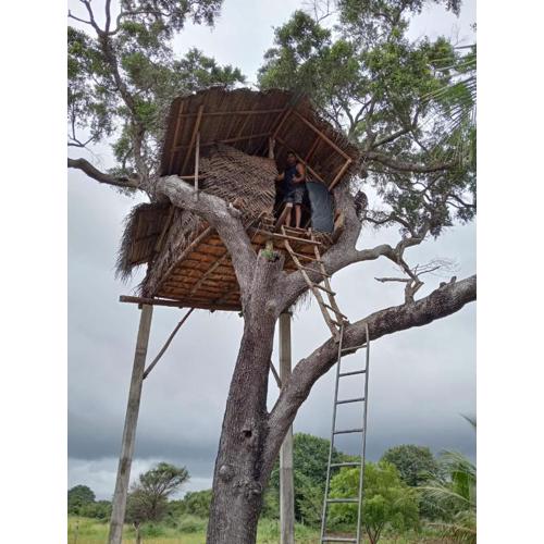 Anaga home stay & eco tourism