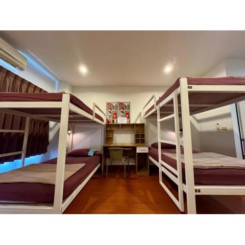 Ananas Central Phuket Hostel