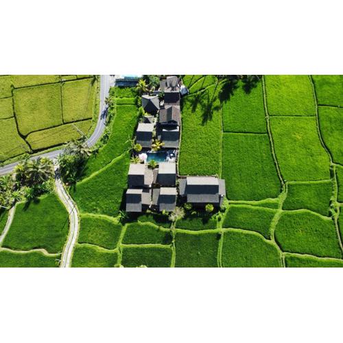 Ananda JJ Ubud Resort & Spa