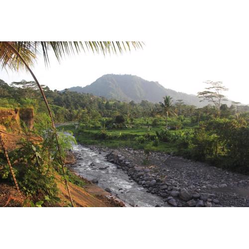 Anandinii River Lodge by AGATA