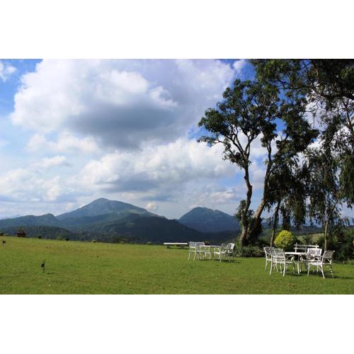 Ancoombra Tea Estate Bungalow