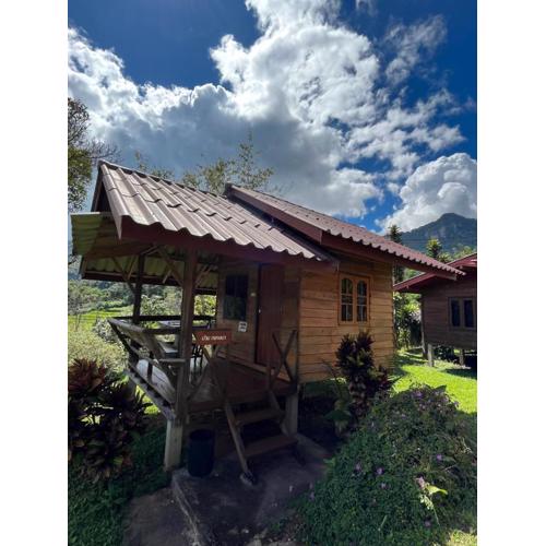 Angha forest view บ้านกลางนา