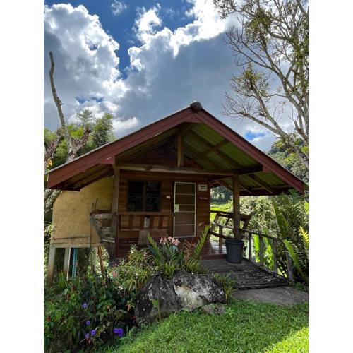 Angha forest view บ้านริมนา