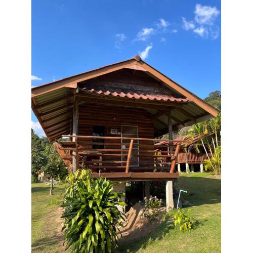 Angha forest view บ้านเคียงดอย