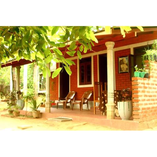 Angry birds homestay