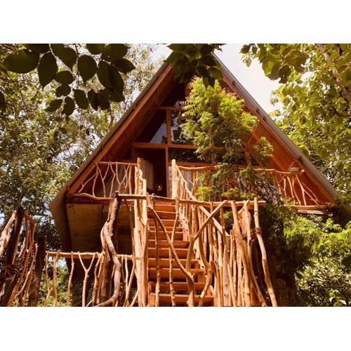 Angry Birds Tree house