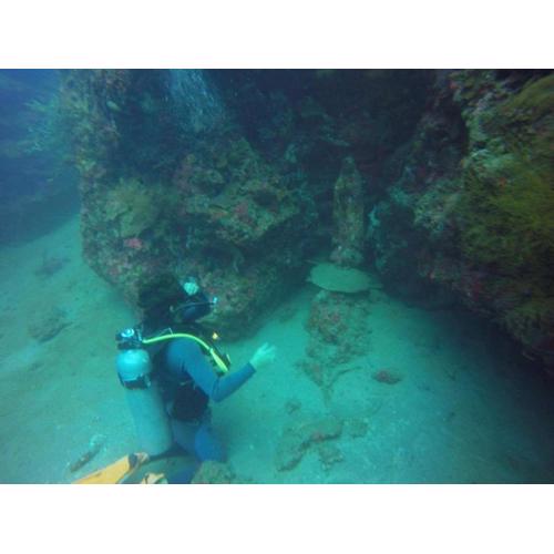 Anilao Scuba Dive Center (ASDC)