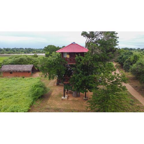 Animal View Point Yala