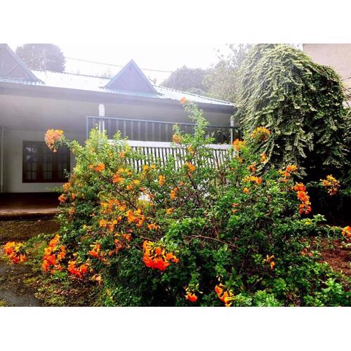 ANN FIELD BUNGALOW Home Stay