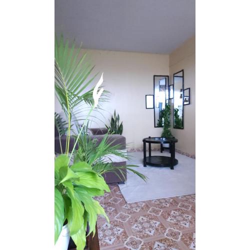 Anna's Bloom and Bed