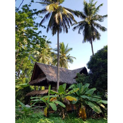 Antonio's Ko Yao Noi
