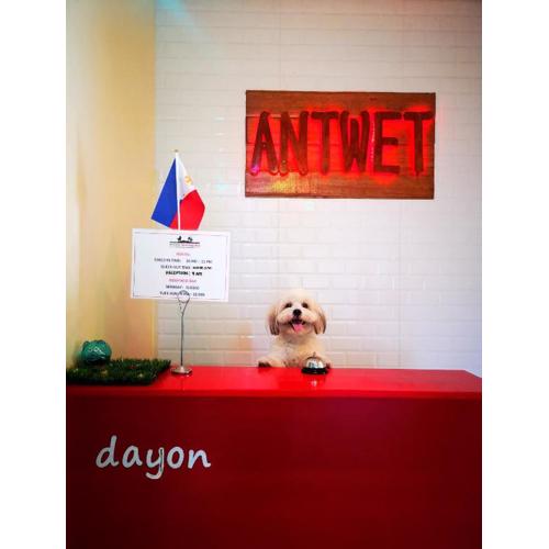 Antwet Backpacker's Inn & Rooftop Bar