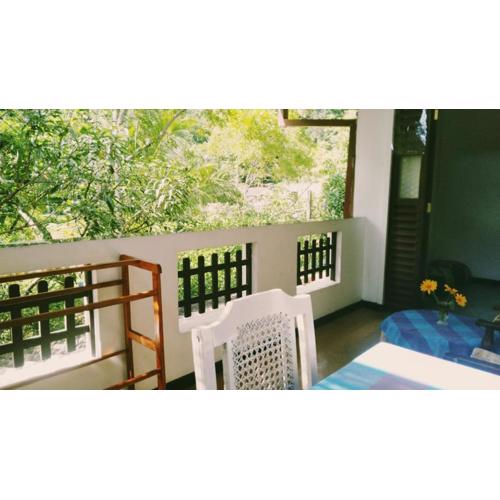 Apartment Nature View