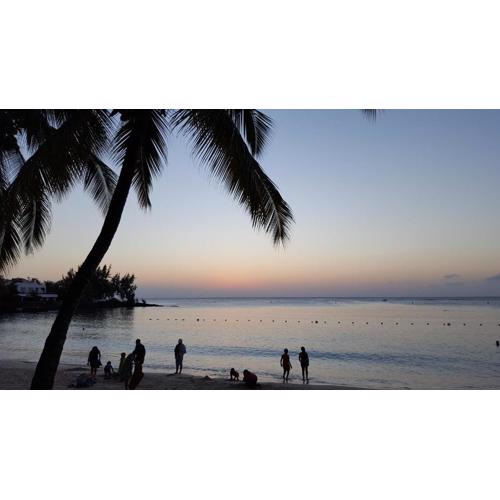 Appartement & Studio Lolla