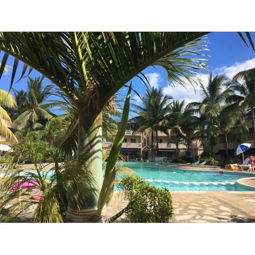 Apt Terrasse Bord de Mer & piscine / Flic en Flac