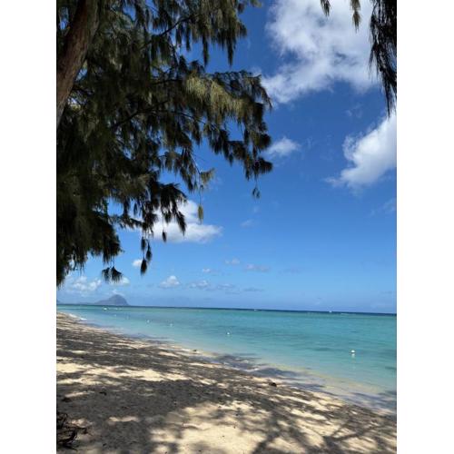 Aquamarine Beachfront Apartment