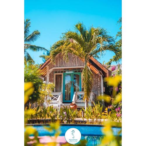 AQUARIUM MARGO Gili Air