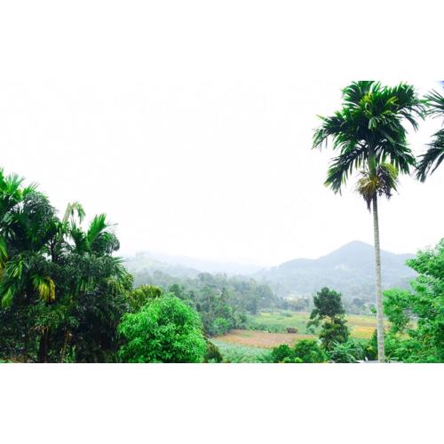 Arches View Home Stay