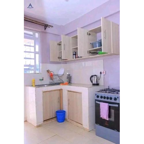 Arctic tern kerugoya