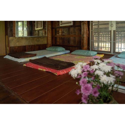 Art House at Chiangdao - Waterlily House