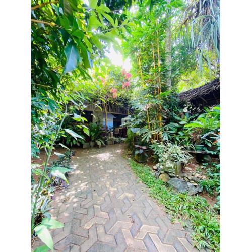 Art house hiriketiya