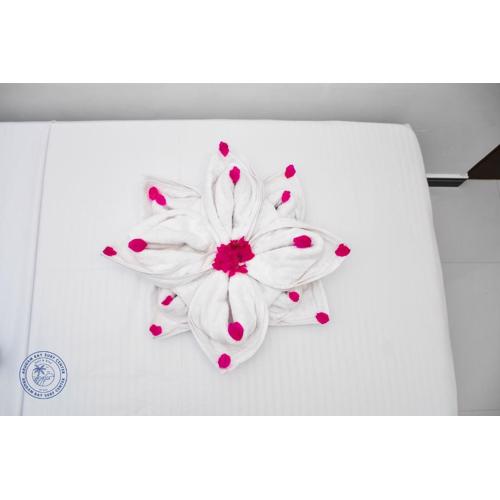 Arugambay Surf Centre