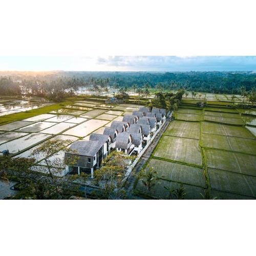 Asri Cinta Villa Ubud