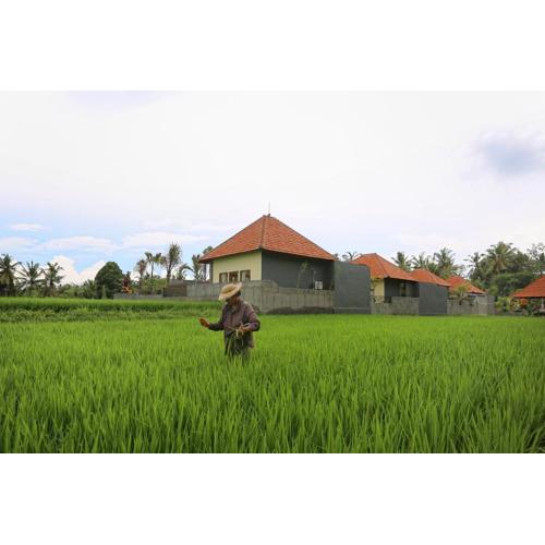 Asri Sari Ubud Resort