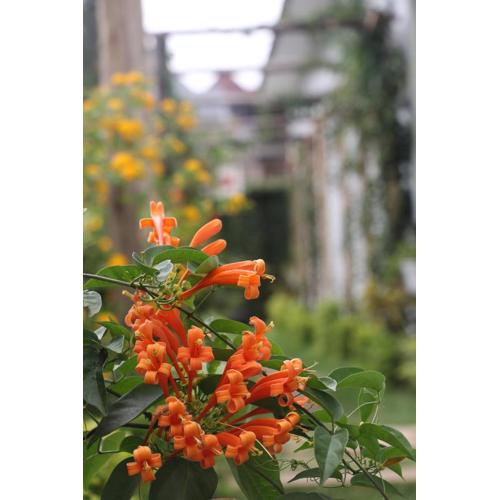 At Home Suites, Moshono Garden Arusha