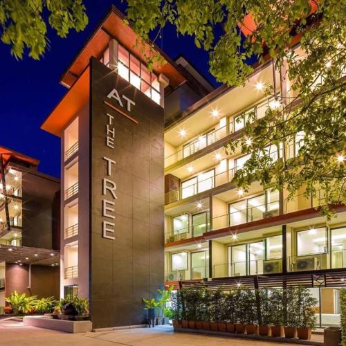 At the tree by fatimah