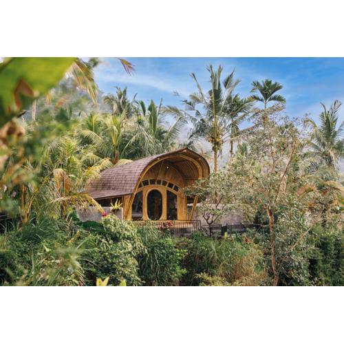 Aura Cendana Hill Sidemen