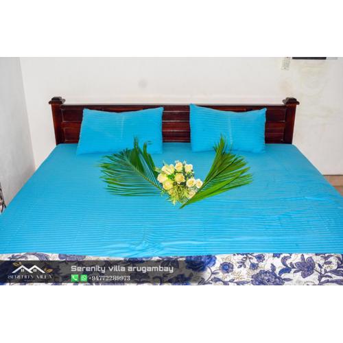 Aura surf camp & Hostel