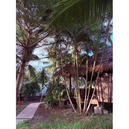 Authentic Thai Wooden House Coconut Lane