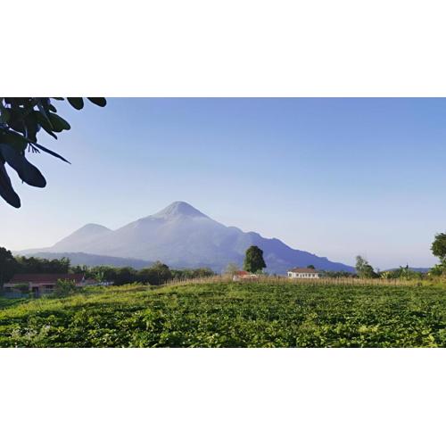 Avila Ketapan Rame Hotel