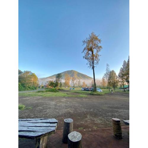 Avrilla Ijen Cool homestay