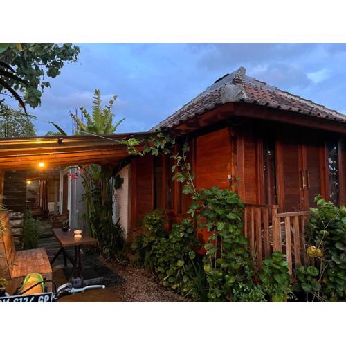 Ayolah surf House &Surf Camp