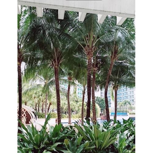 azure beach front view