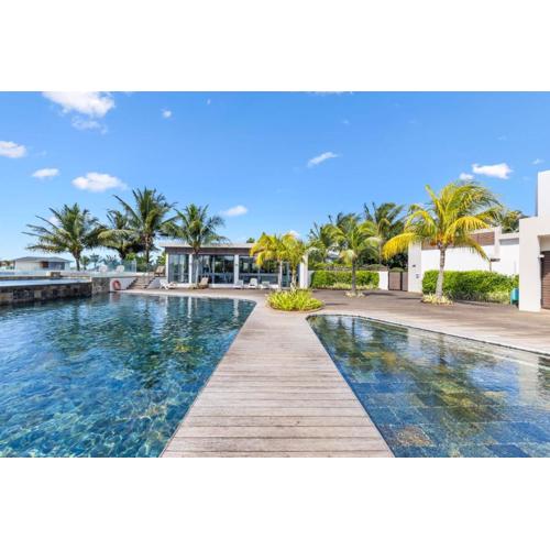 Azuri Soliflore 13 by Host Agents