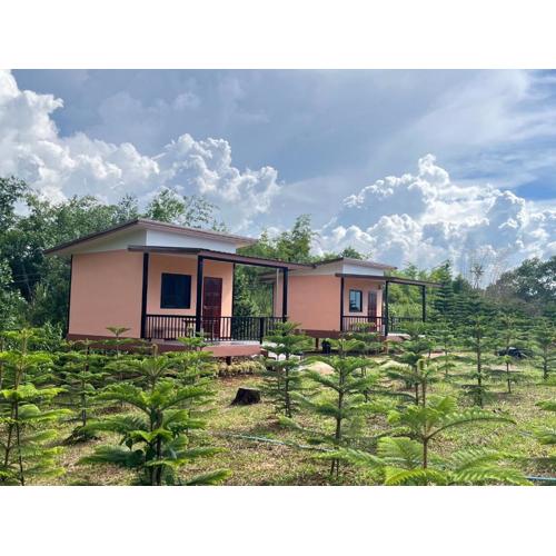 บ้านสวนหมอกเขาค้อ b1