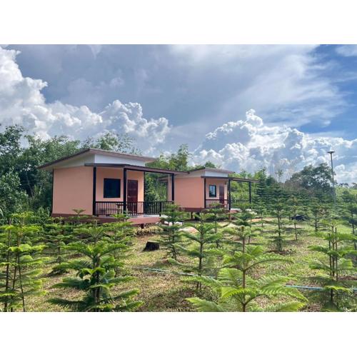 บ้านสวนหมอกเขาค้อ b2