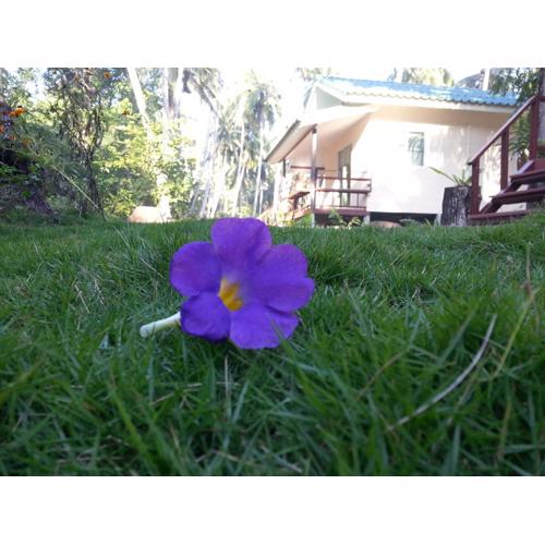 Baan Phuean Koh Kood